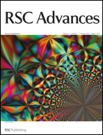 RSC Cover